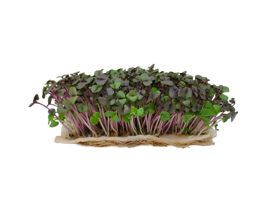 BASIL MIX