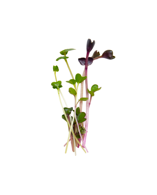 SUPERFOOD MIX