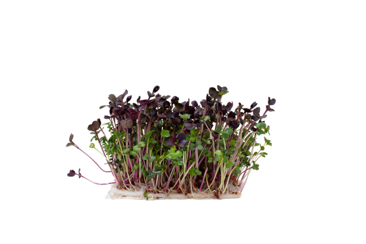 SUPERFOOD MIX